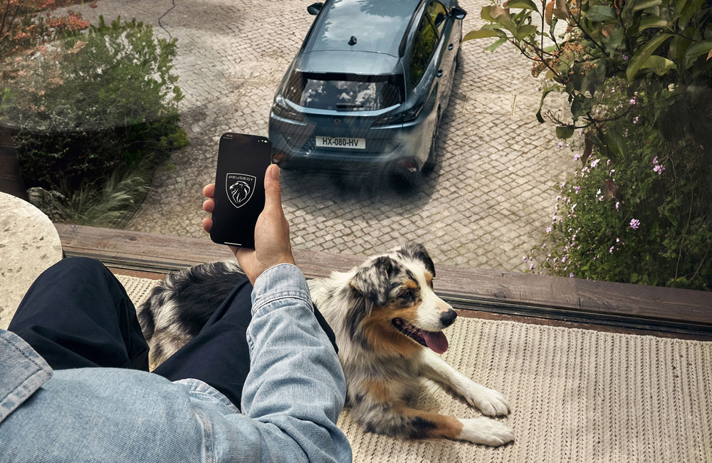 Peugeot 308 SW controlo remoto